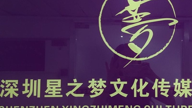 广州品牌设计公司案例解析：揭秘成功之道