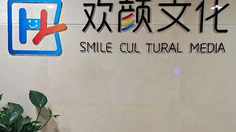 成都企业宣传片MG动画：揭秘制作报价背后的奥秘